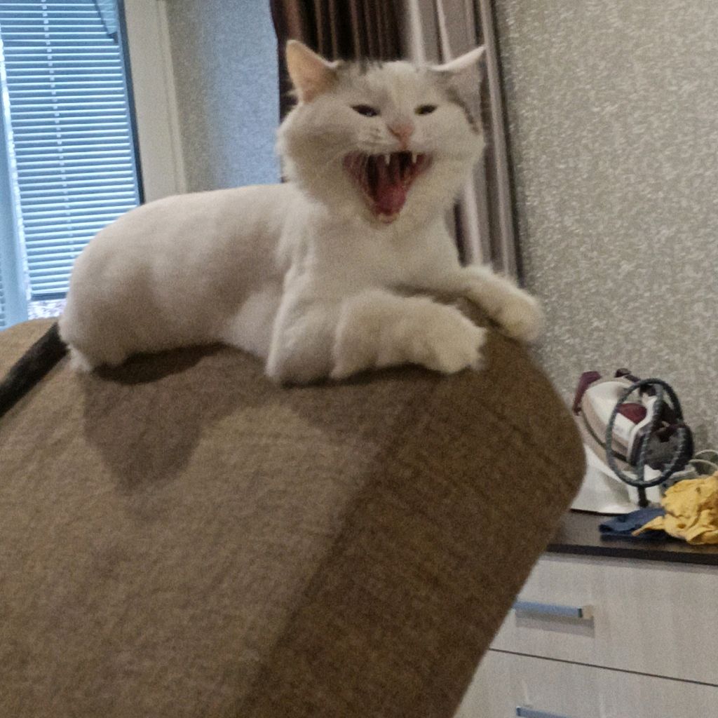 Иконка канала ЛаймТайм👌