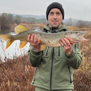 Аватар автора