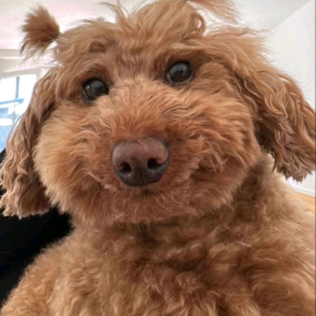 Иконка канала Egor53k