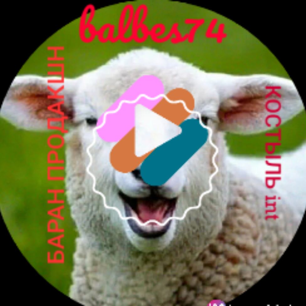 Иконка канала balbes74/КОСТЫЛЬint