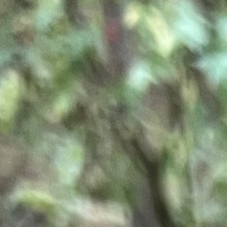 Иконка канала Sergei Mojong