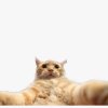 Иконка канала DoomSlayer1990