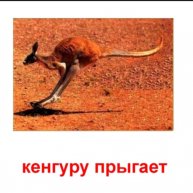 Иконка канала роблокс пук⭐⭐⭐