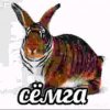 Иконка канала channel67748627