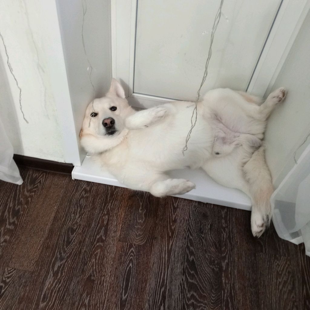 Иконка канала Артемий 2