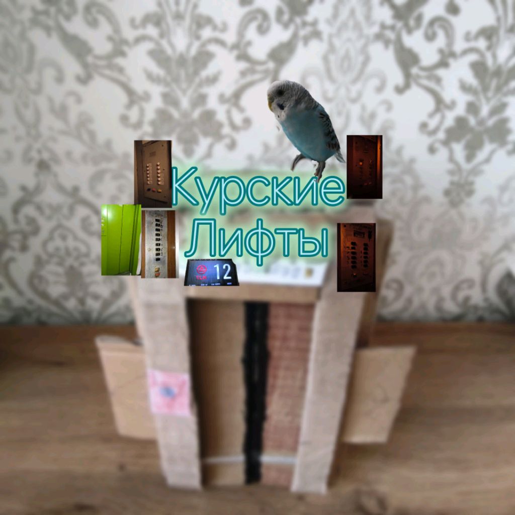 Иконка канала 💦КурскиеЛифты💦