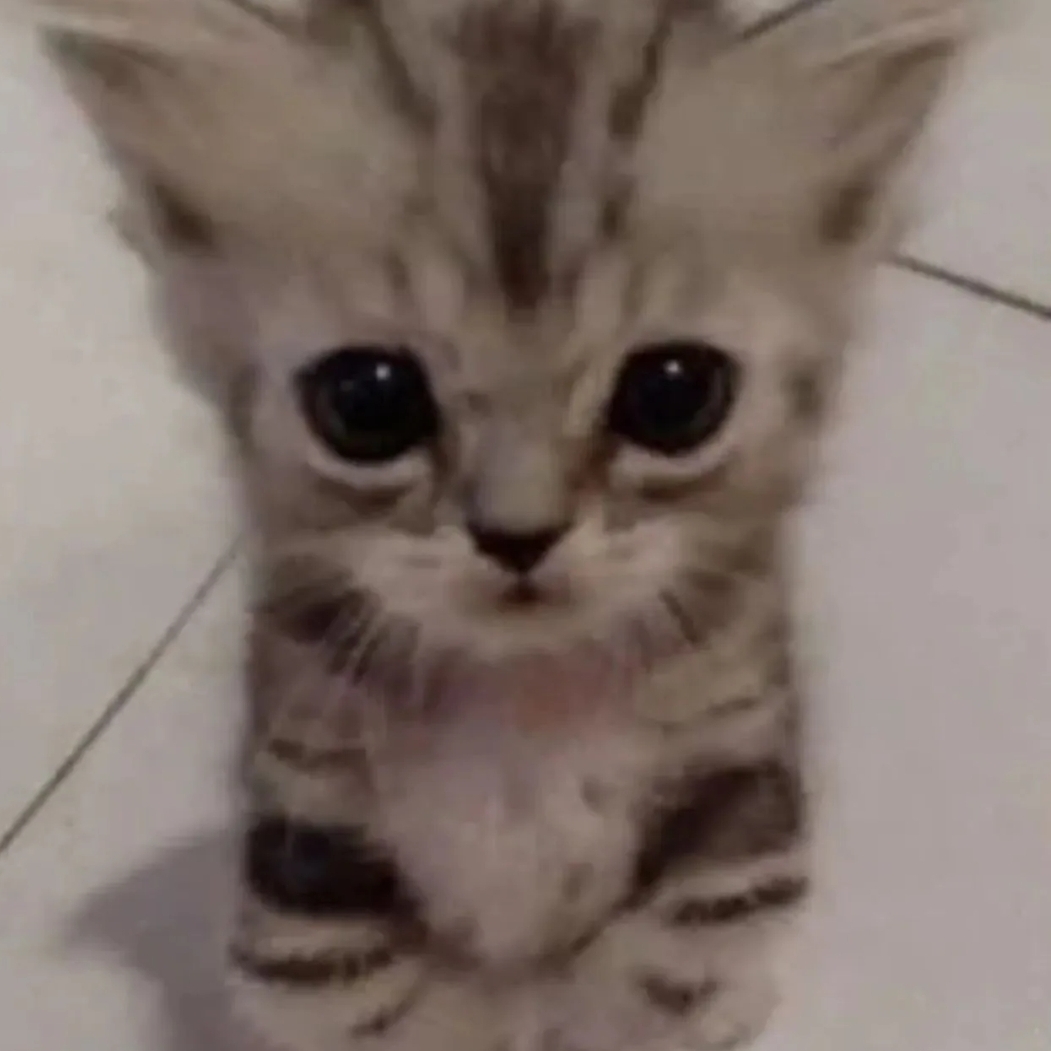 Иконка канала †Котик по Чикен Ган†