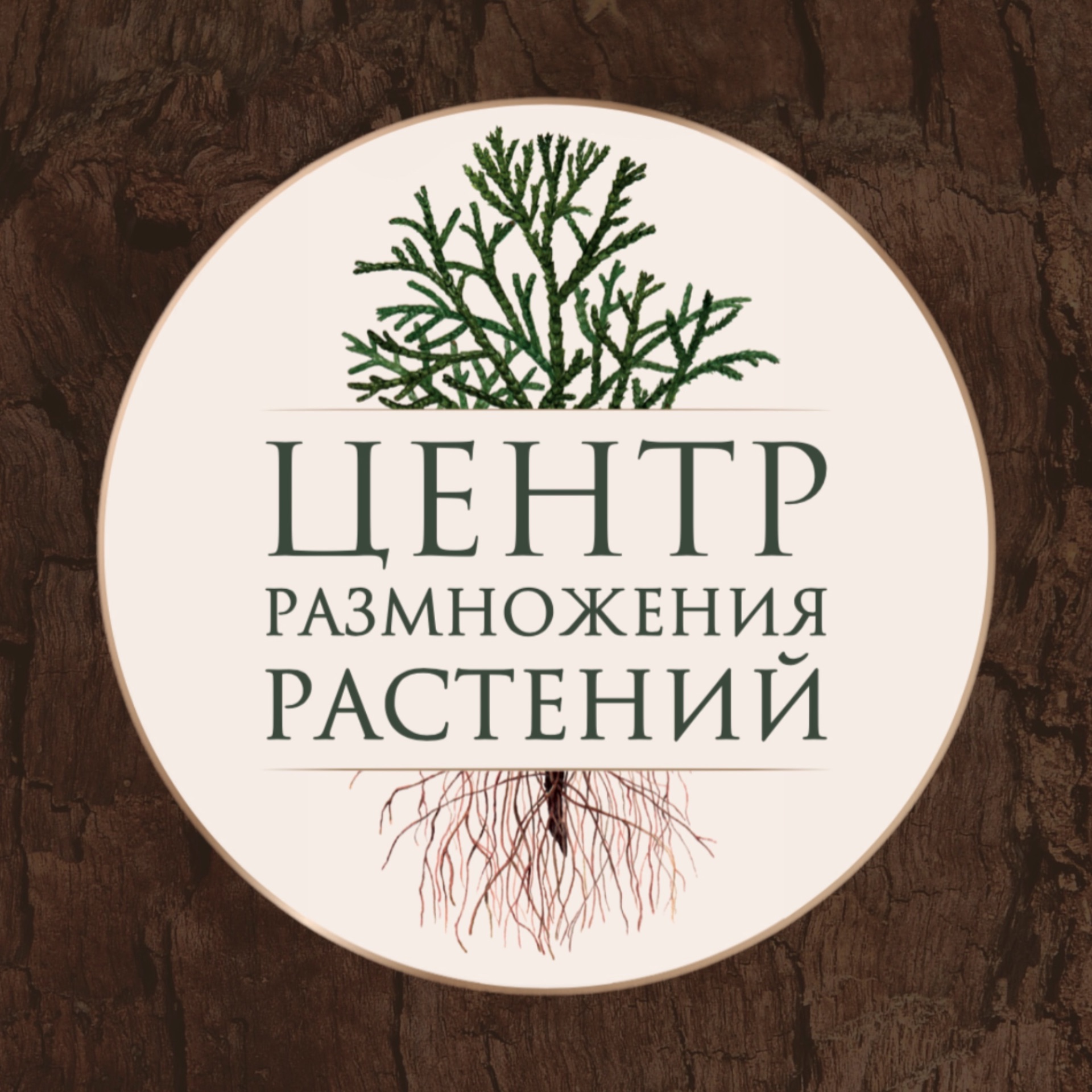 Иконка канала Питомник «Центр размножения растений»