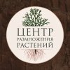 Иконка канала Питомник «Центр размножения растений»