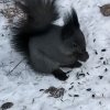 Иконка канала Белка √