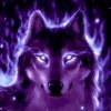 Иконка канала Nikita Wolf