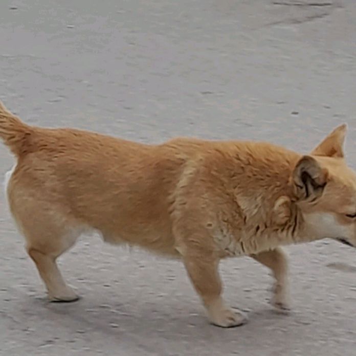 Иконка канала Слава