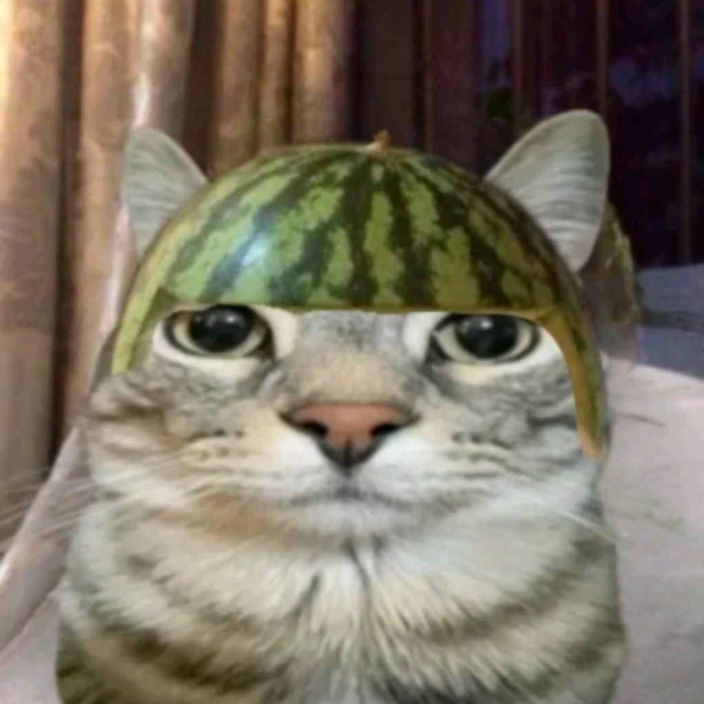 Иконка канала 🇷🇺TORTI🇷🇺