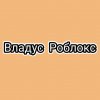 Иконка канала Владус Роблокс