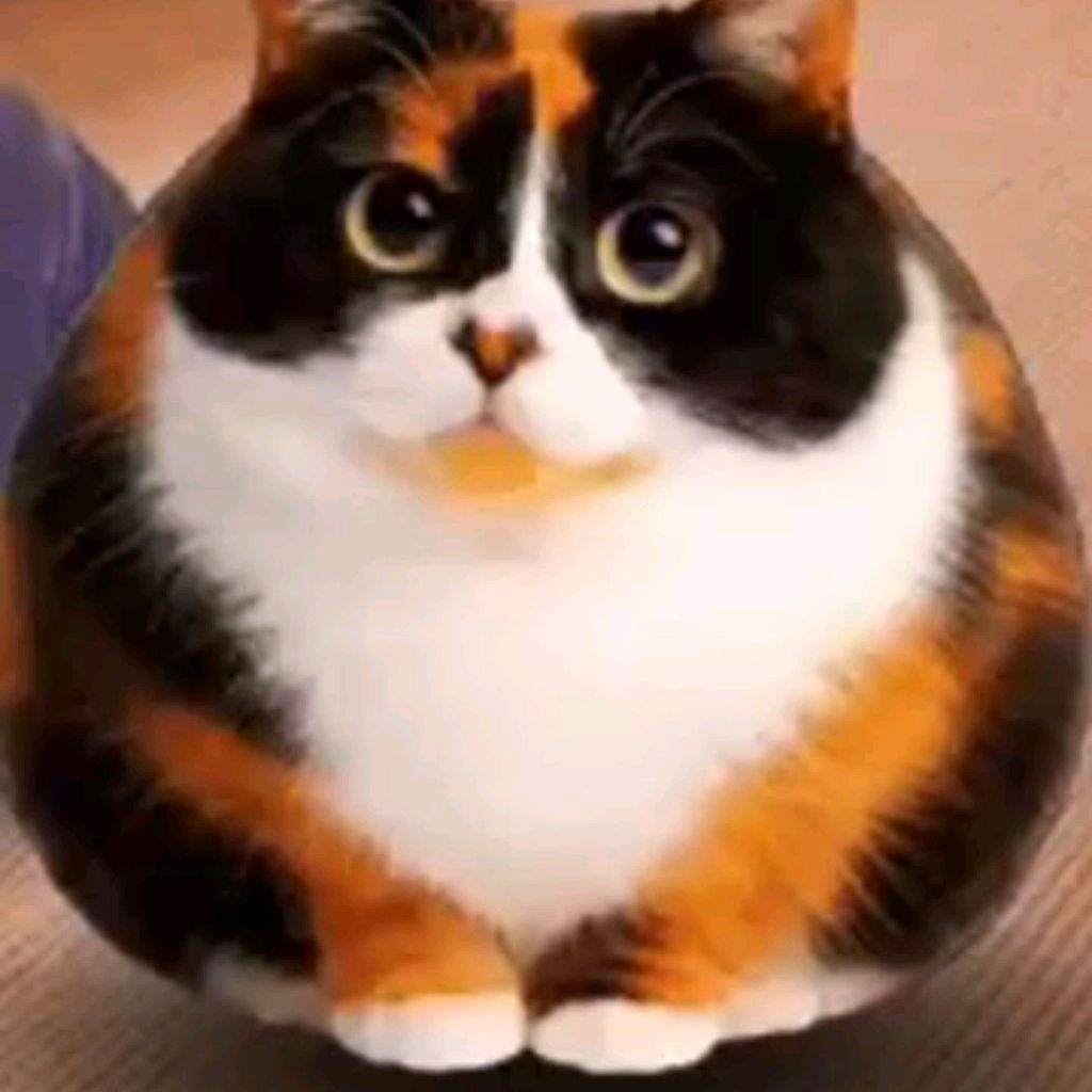 Иконка канала Scrapkaka_котость