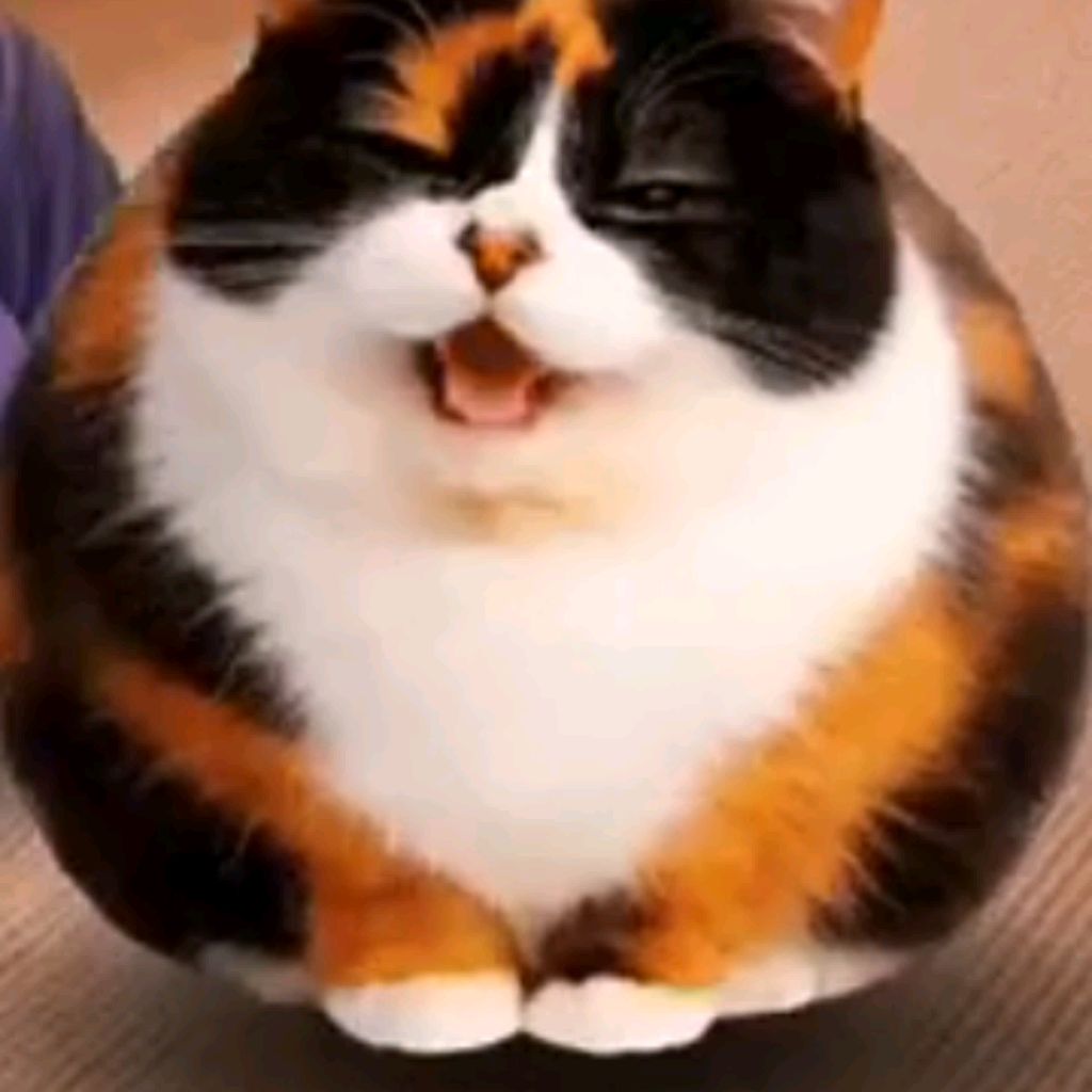 Иконка канала Scrapkaka_котость