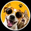 Иконка канала channel.fetis.89
