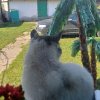 Иконка канала Кошки и мы