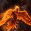 Иконка канала PHOENIX