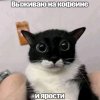 Иконка канала тиффаня-мя