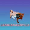 Иконка канала LeonidPokotilo