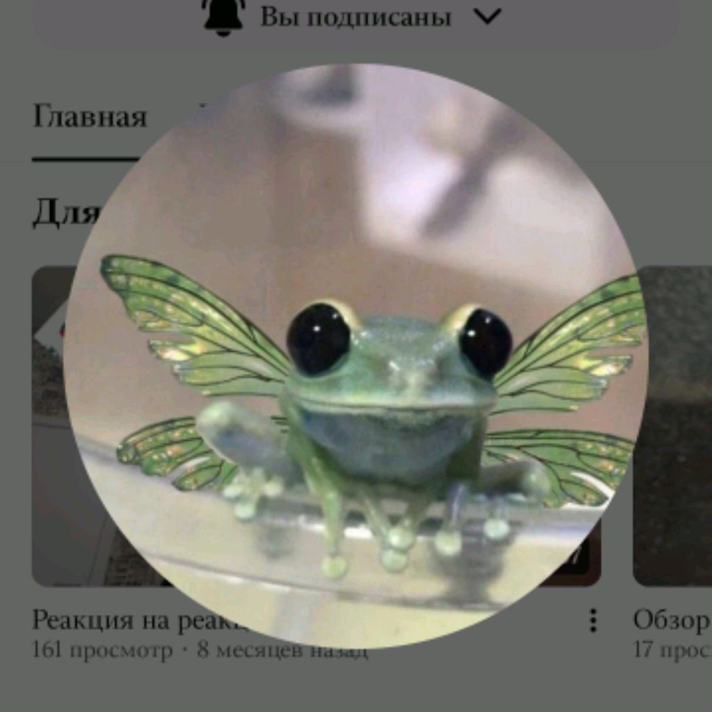 Аватар автора