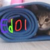 Иконка канала АТВК - Edol