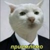 Иконка канала _Vineits_