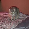 Иконка канала сделай сам