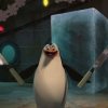 Иконка канала Penguin