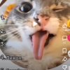 Иконка канала КотяРы ТОП😺