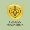Иконка канала Пасека Мадиевых