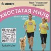 Иконка канала Kotodetki