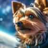 Иконка канала KatyaDog
