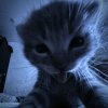 Иконка канала Перезаливы из тик тока