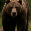 Иконка канала Игры