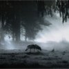 Иконка канала The music of my heart