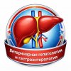 Иконка канала Ветеринарная гепатология и гастроэнтерология