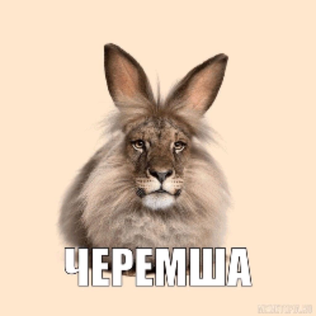 Иконка канала channel78183540