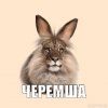 Иконка канала channel78183540