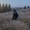 Иконка канала Dayz KUB