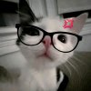 Иконка канала Новичок