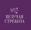 Иконка канала Везучая стрекоза