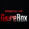 Иконка канала видосы из GoreBox