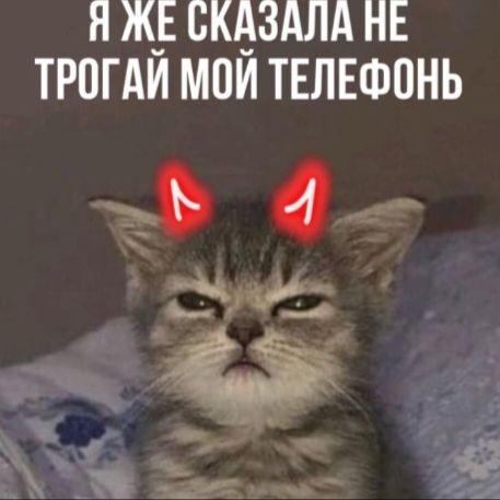 Иконка канала Ксюха шоу