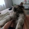Иконка канала EASYBOY238