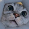 Иконка канала channel78208993