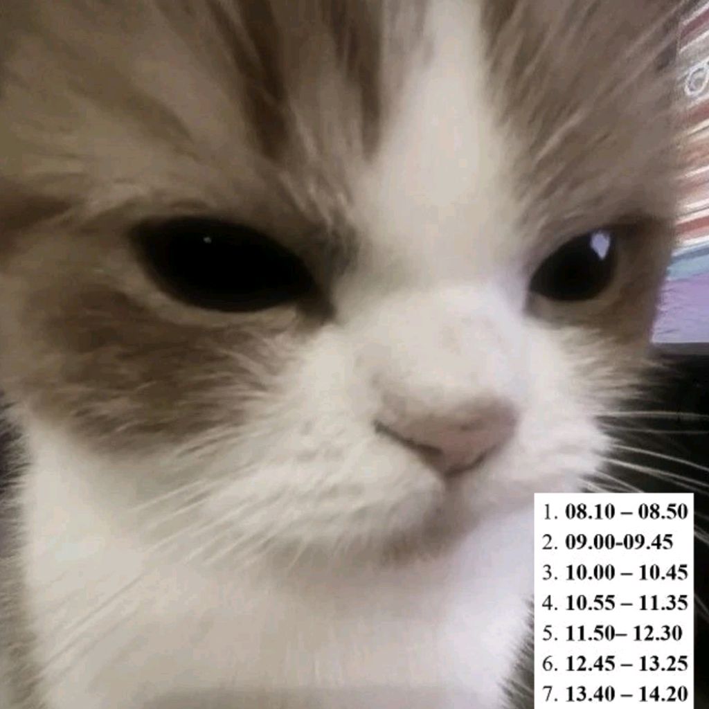 Иконка канала 🫶а̤̮н̤̮г̤̮е̤̮л̤̮и̤̮н̤̮к̤̮а̤̮🫶