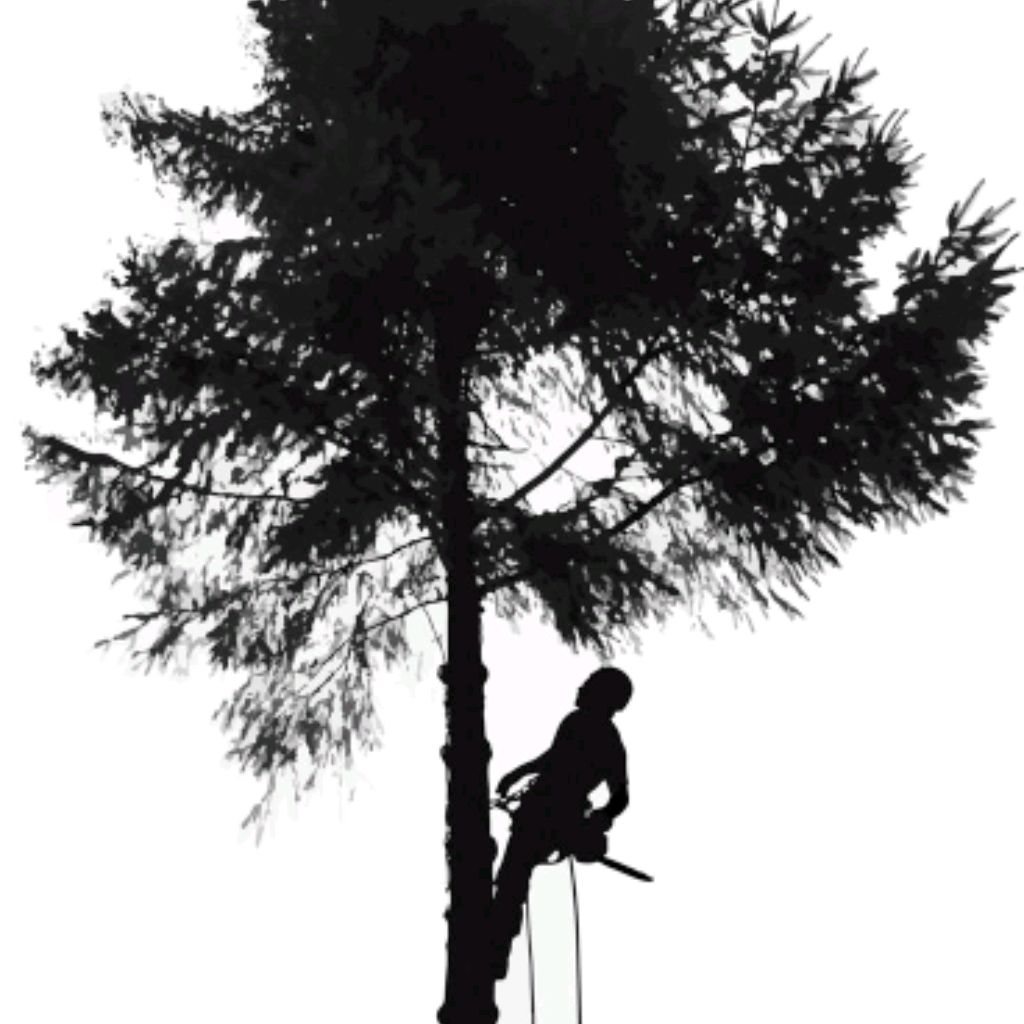 Иконка канала Arborist 74
