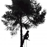 Иконка канала Arborist 74
